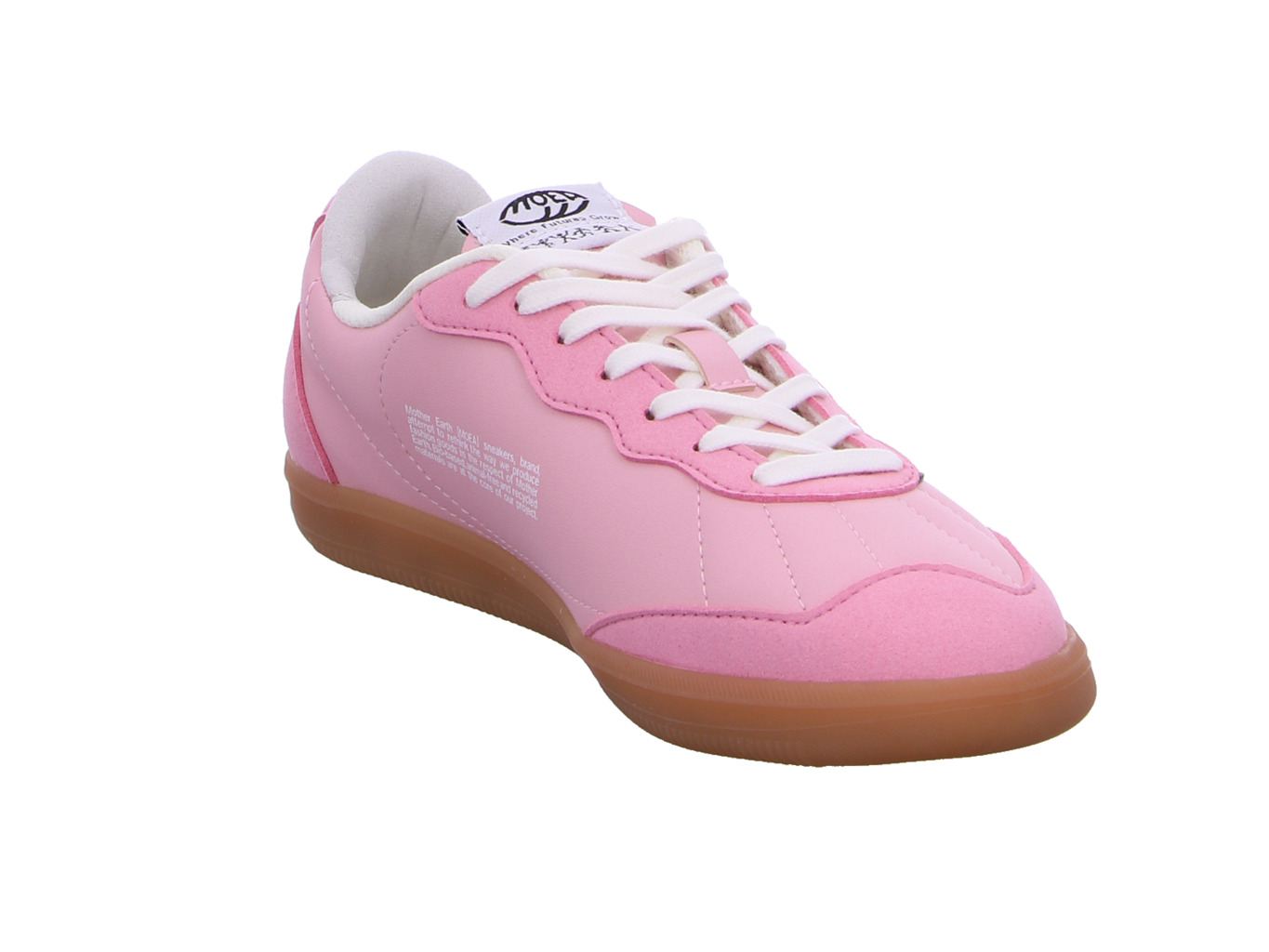 moea_flow_moea_bas011_04_6117