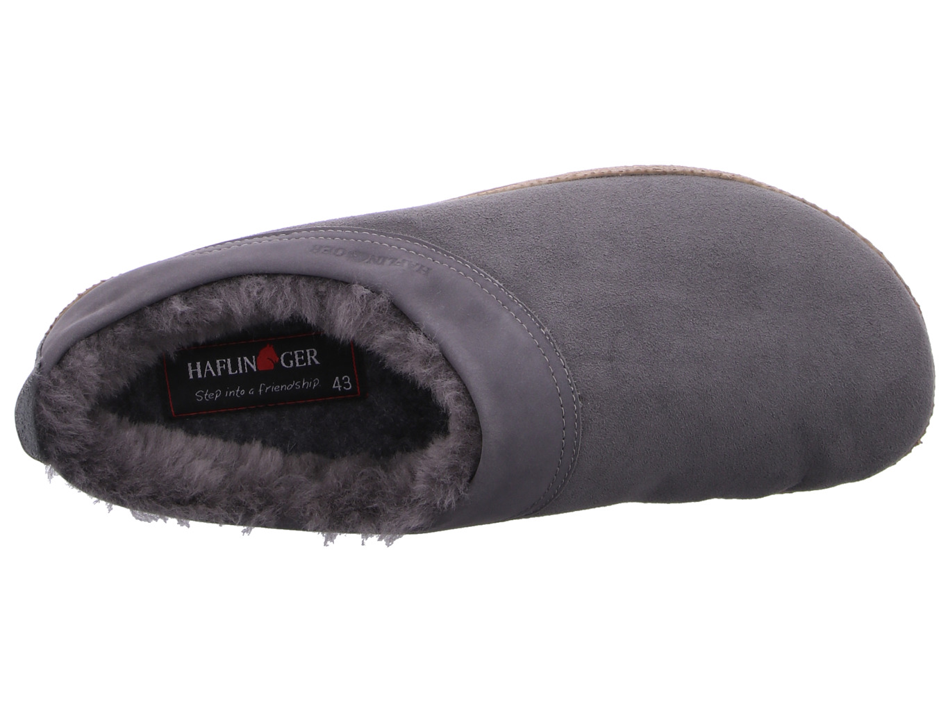 haflinger_snowbird_713015_04_7199