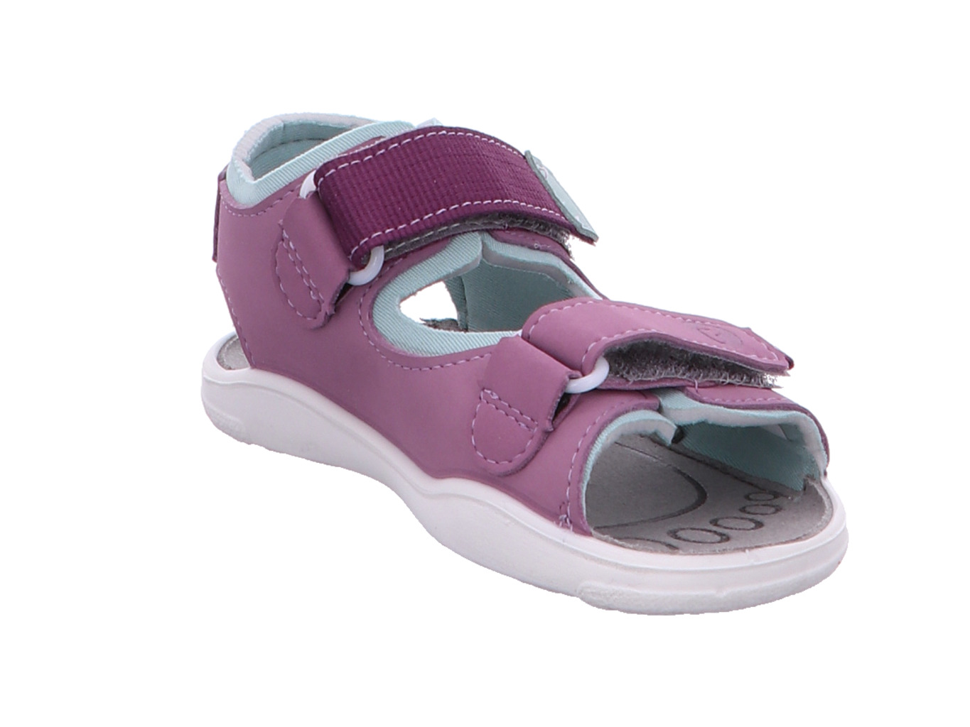 ricosta_daisy_50_4201102_340_340_6139