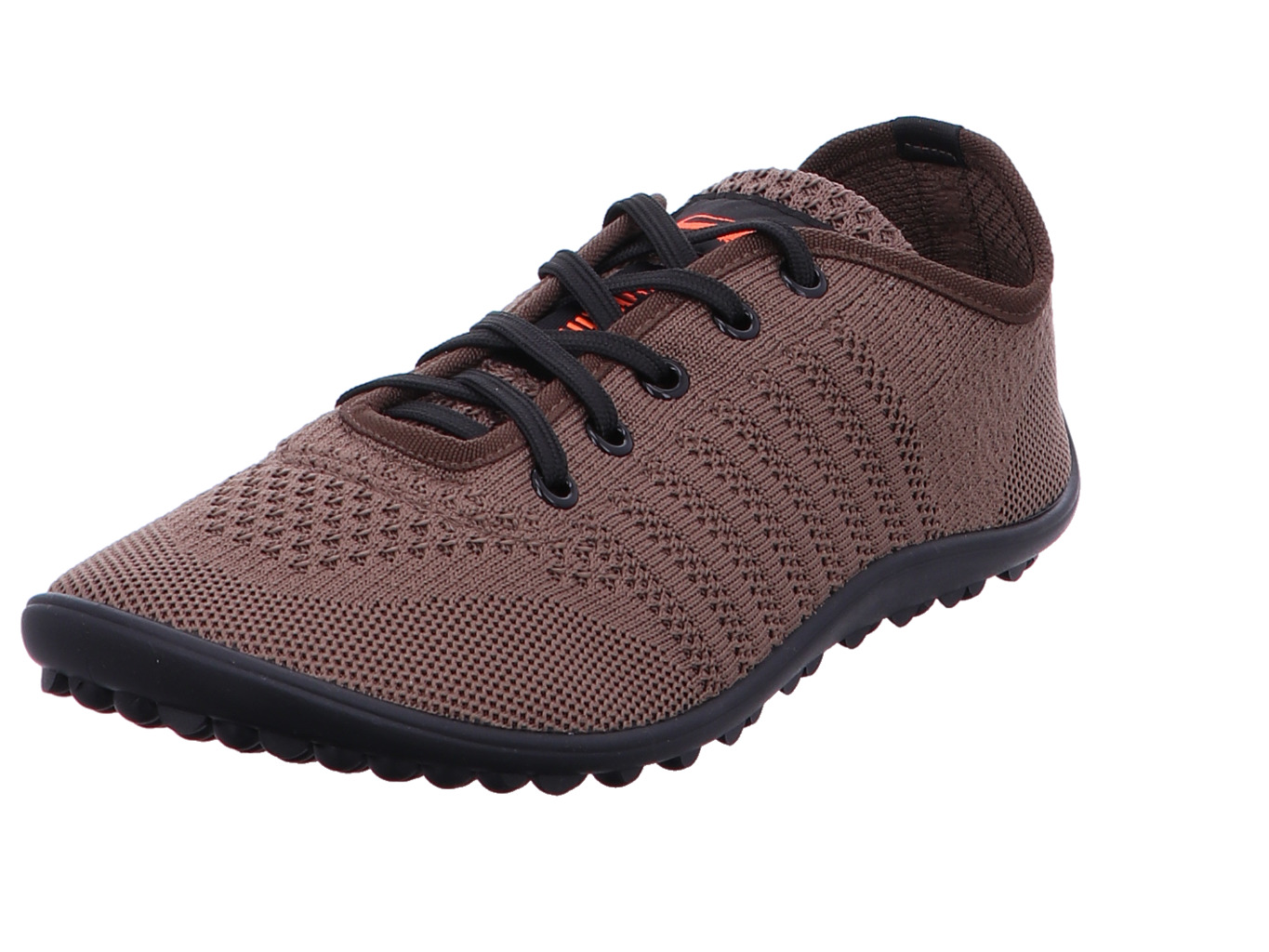 leguano_go_go_maron_1254