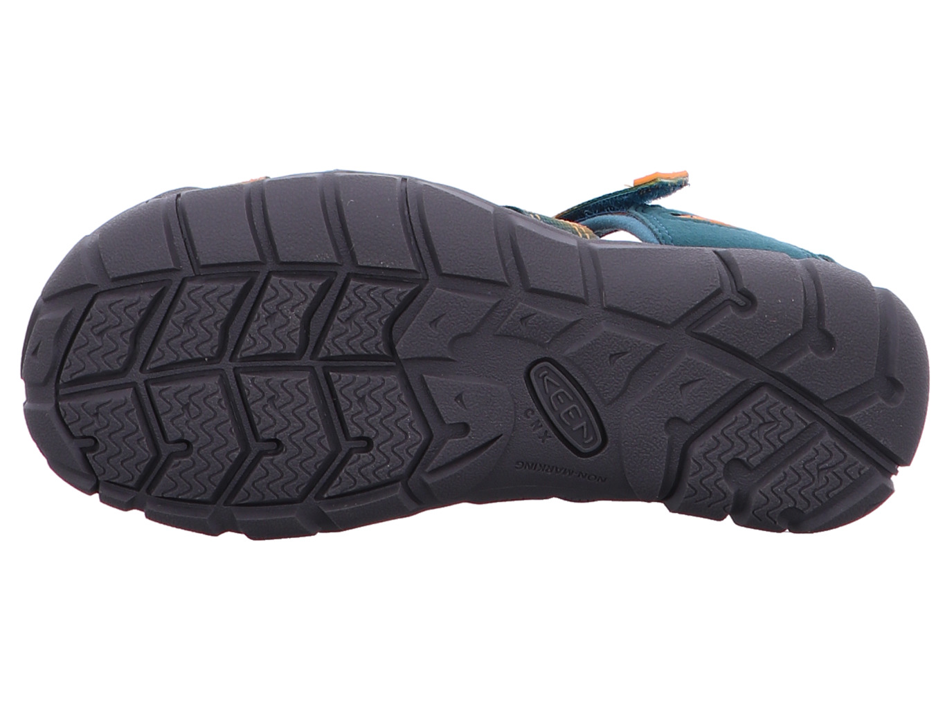 keen_seacamp_ii_cnx_1032164__6187