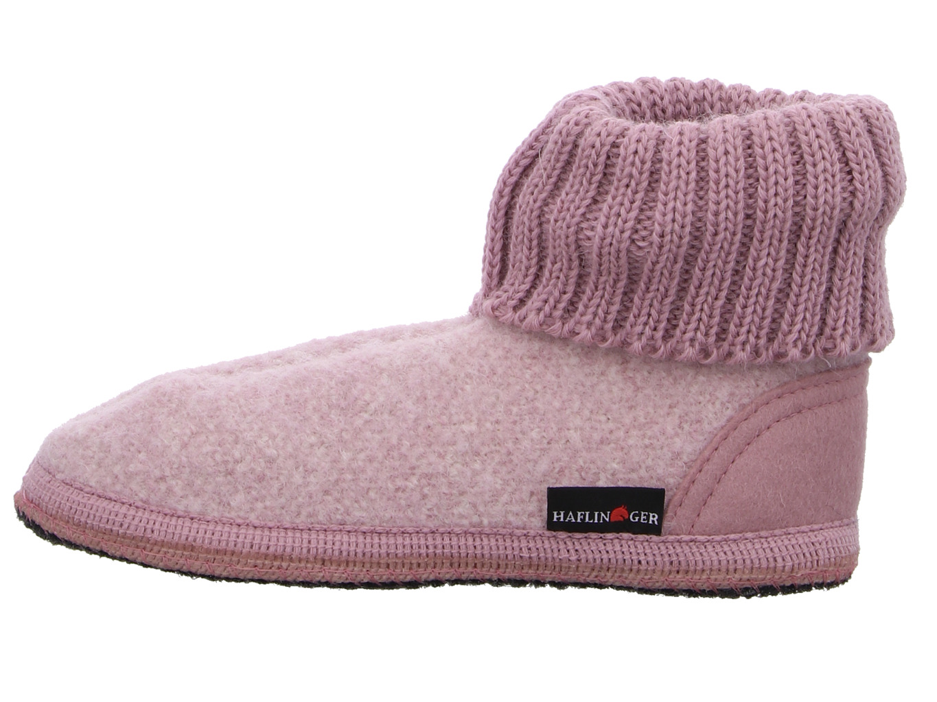 haflinger_1898_632043_083_3279