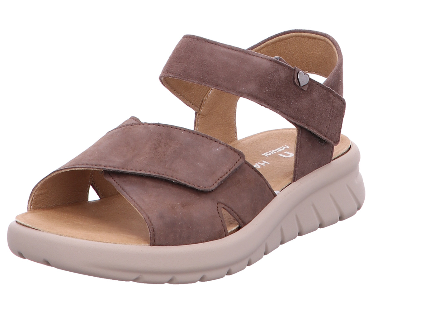 hartjes_calypso_1321801437777_437777_1191