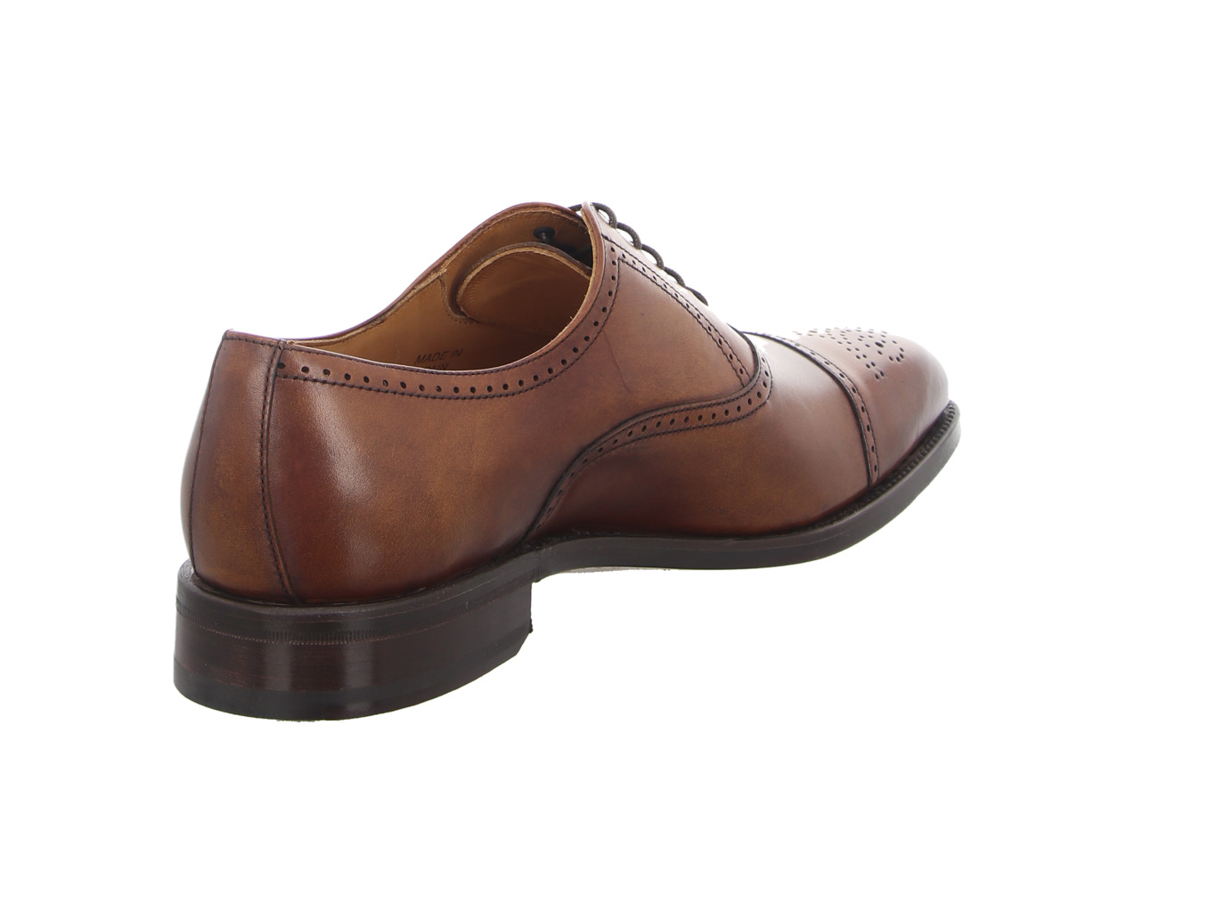 berwick_129_braun_2811_cuero_2117