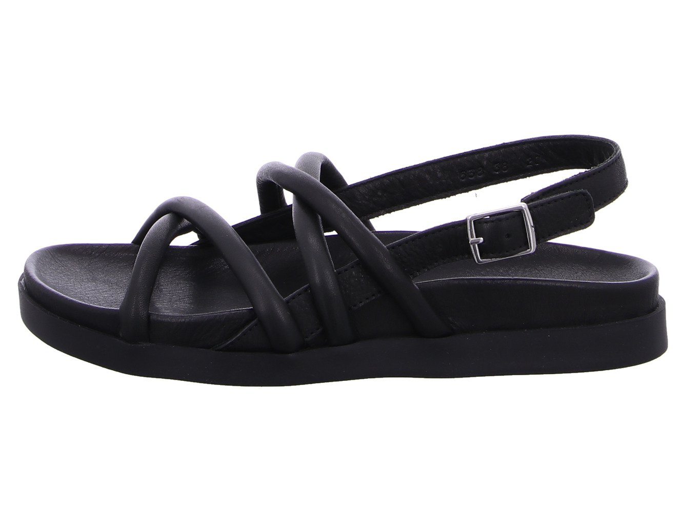 werner_liguster_638_04_schwarz_3122