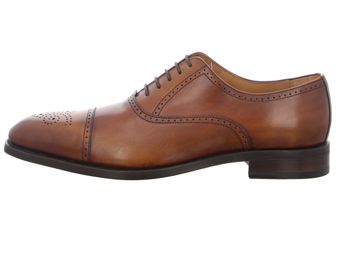 berwick_129_braun_2811_cuero_3162