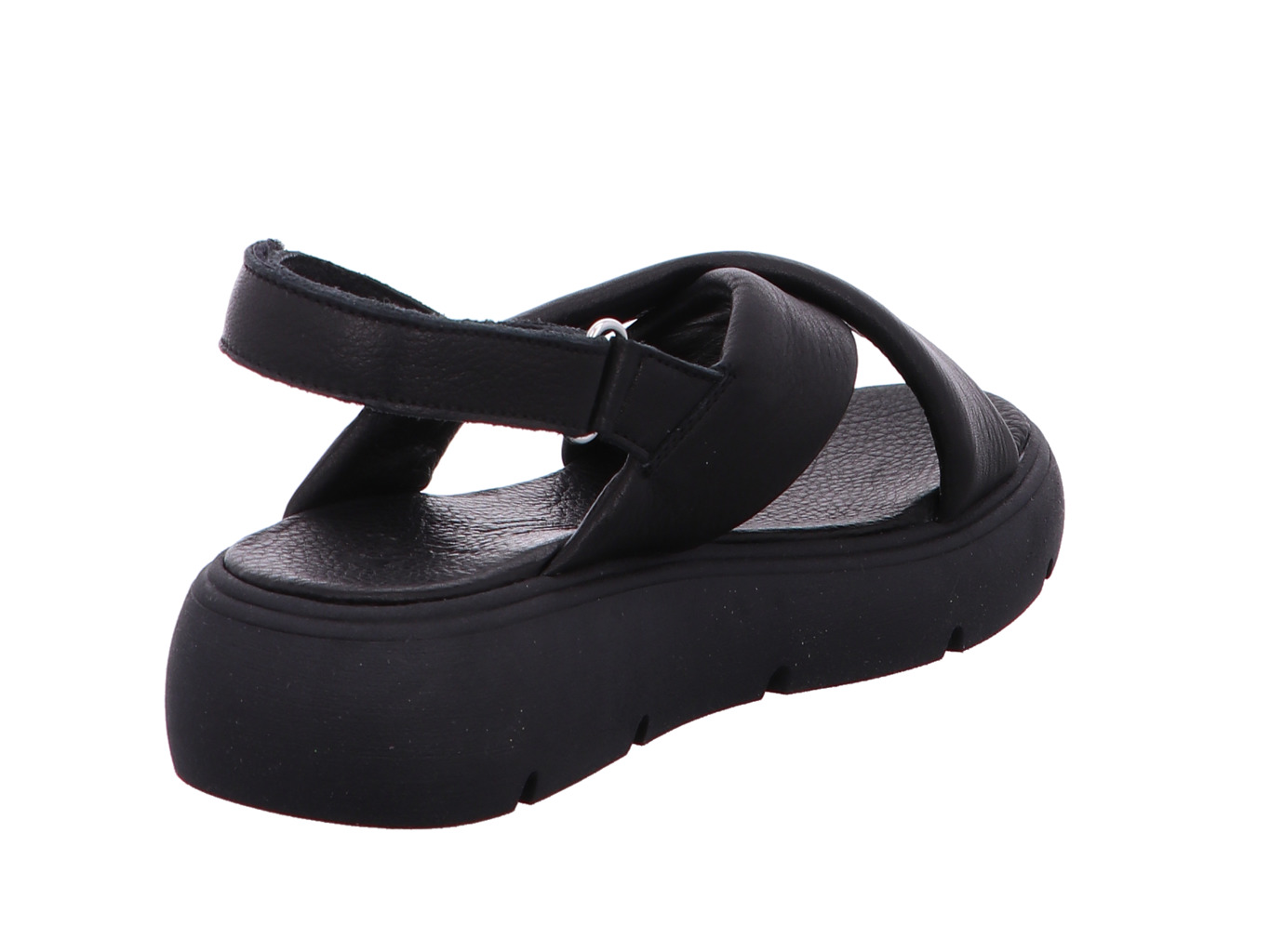 werner_verbene_365_38_2121