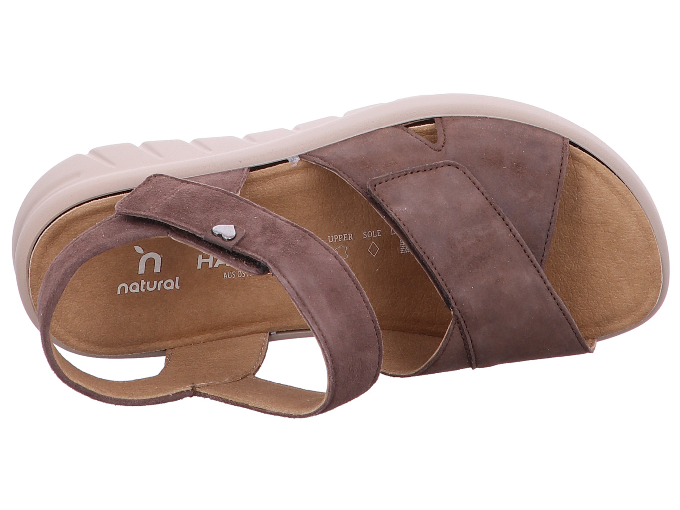 hartjes_calypso_1321801437777_437777_5222