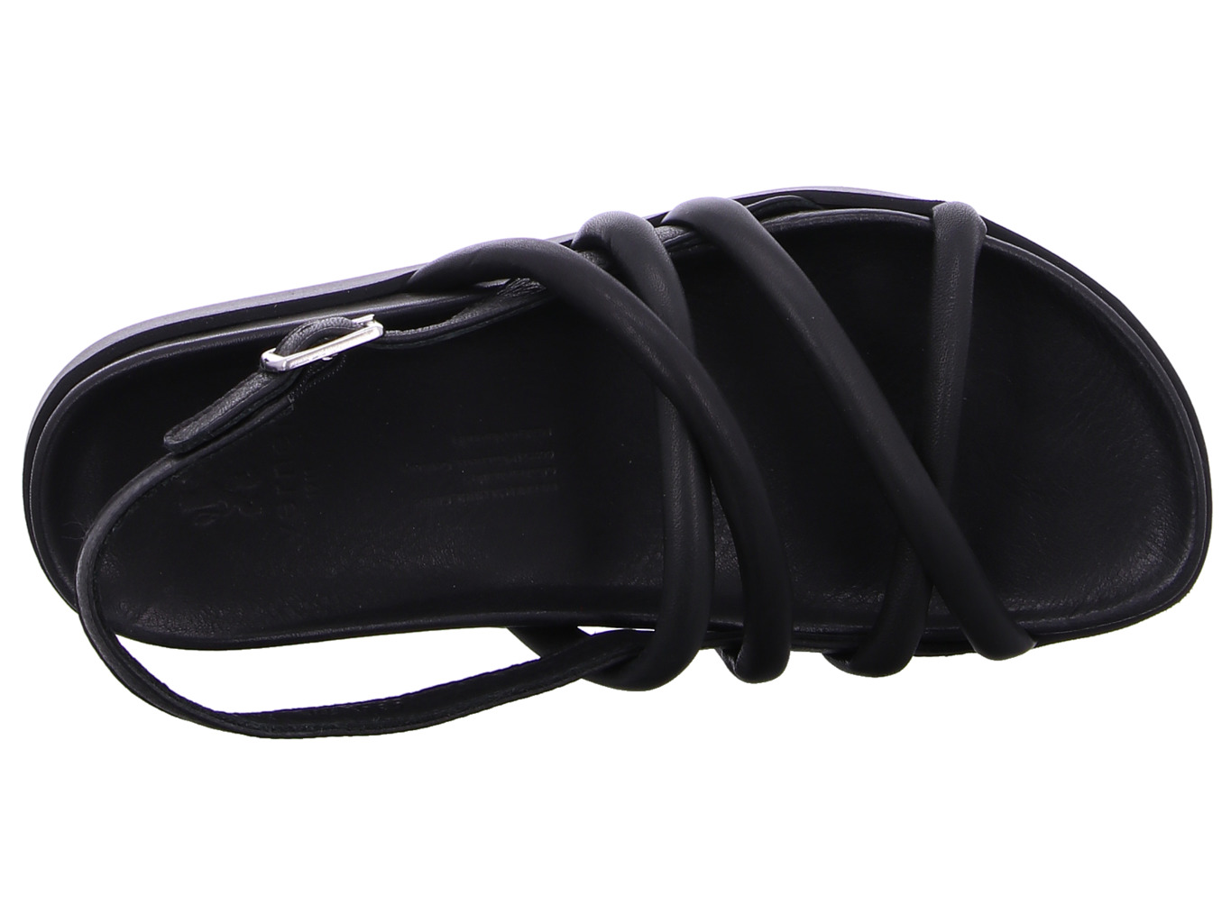 werner_liguster_638_04_schwarz_7136