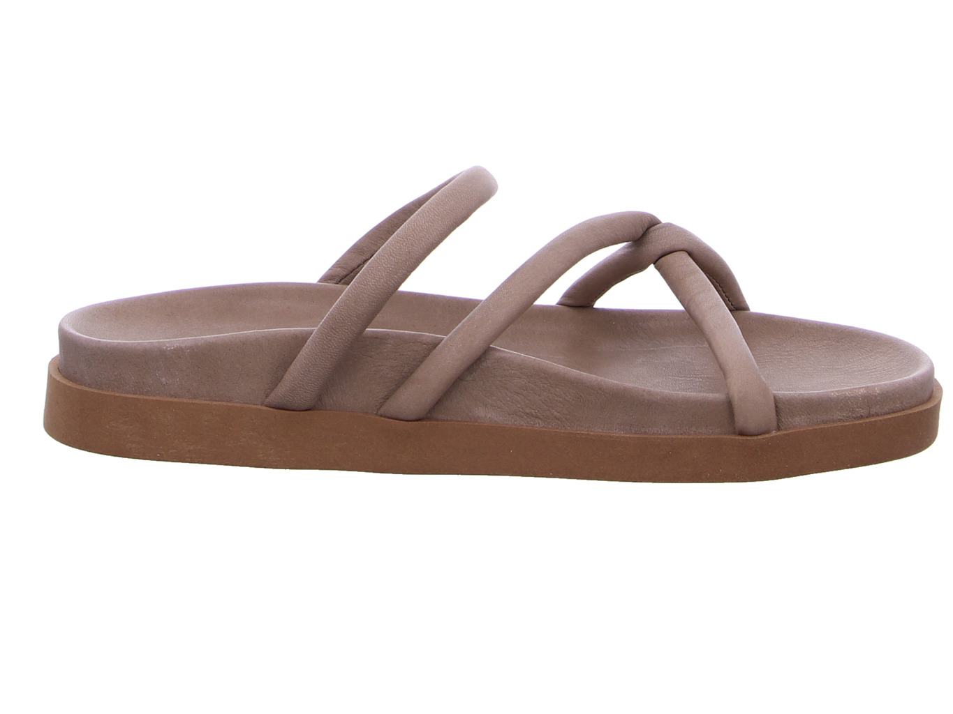 werner_efeu_502_04_natur_4129