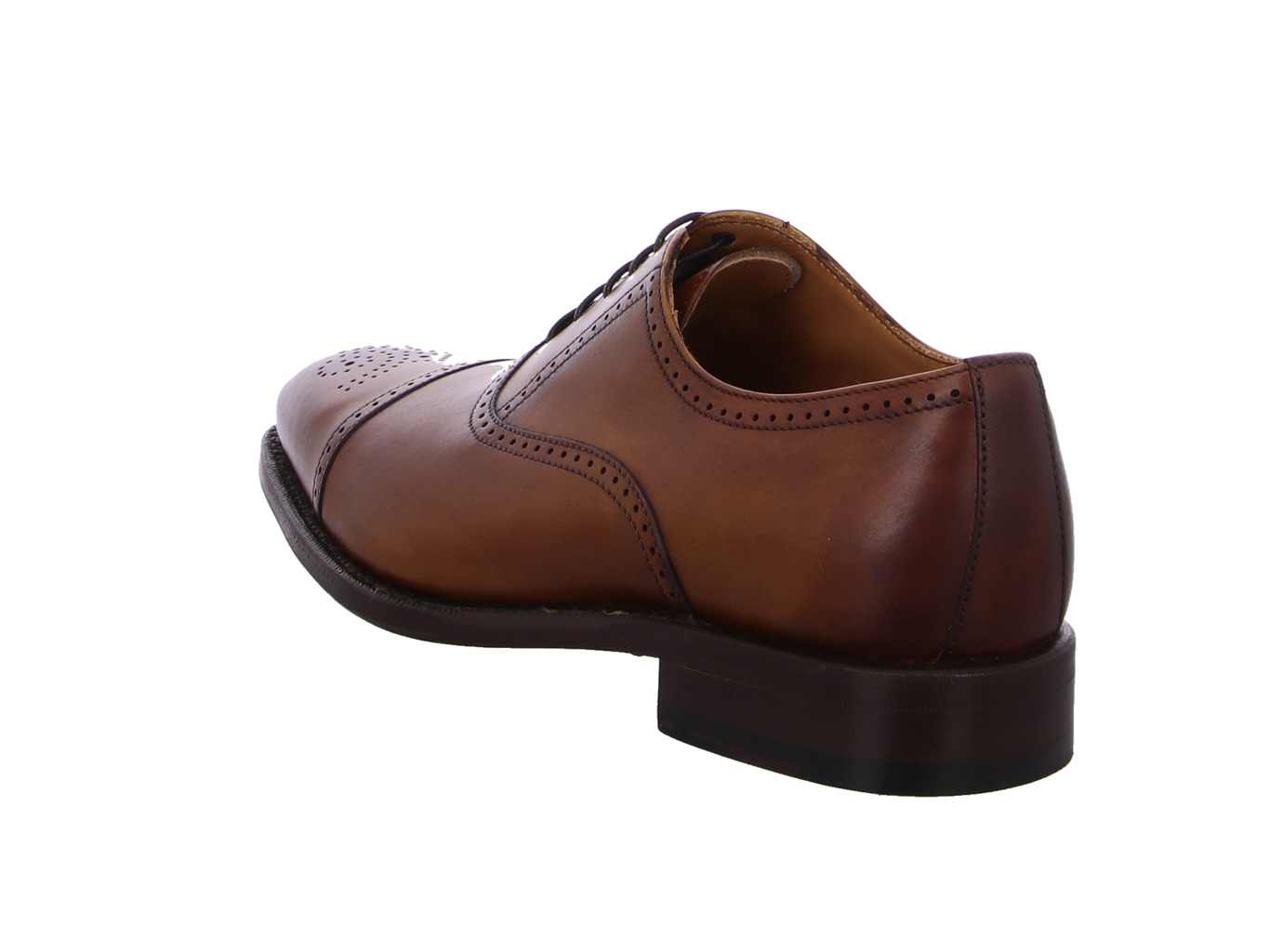 berwick_ho129_2811_sicalf_cuero_5107