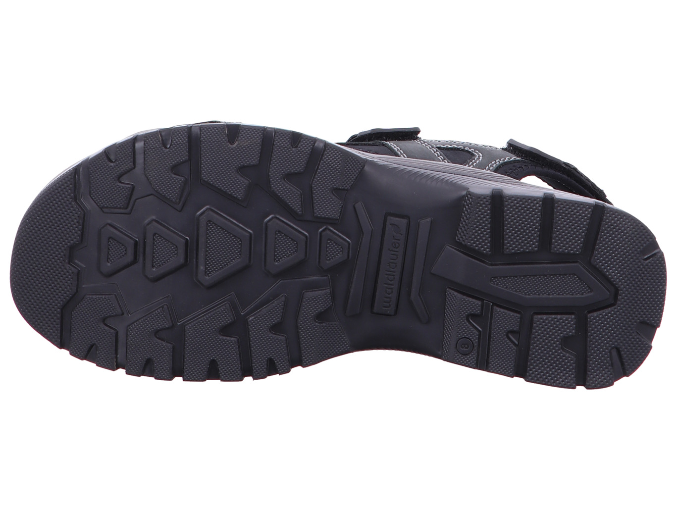 waldl_ufer_h_taro_746004_102_194_194_6201