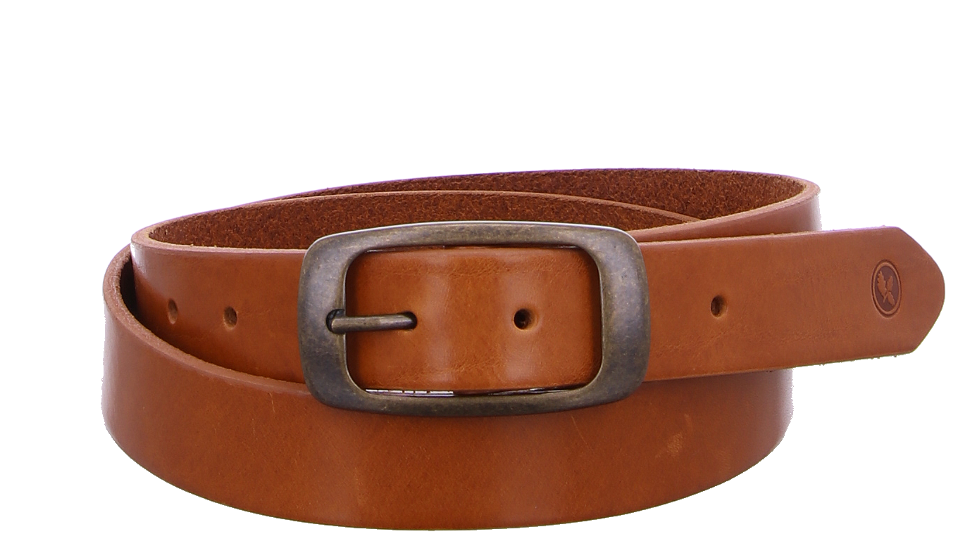 greenbelts_carola_brown_carola_27_1885