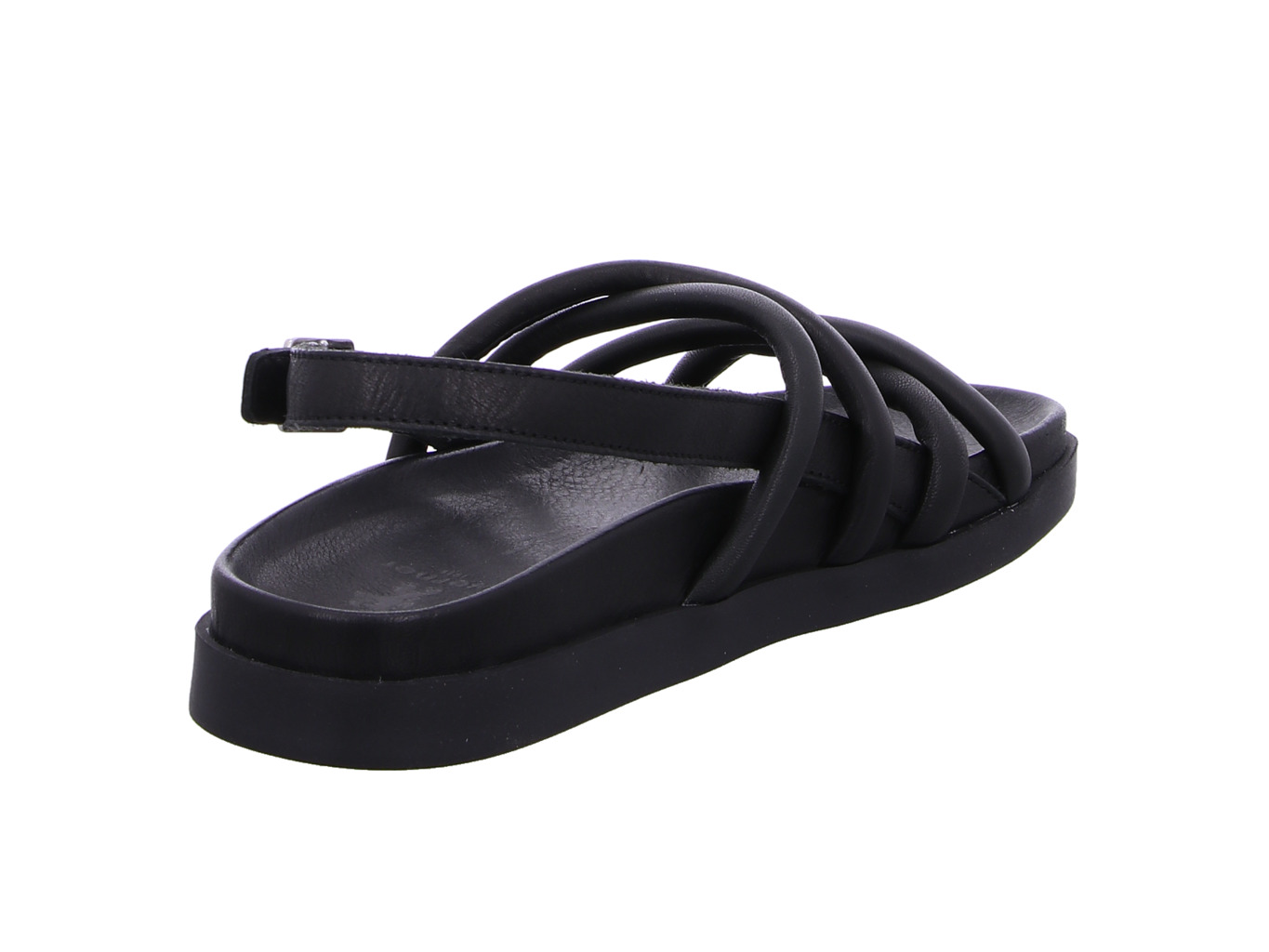 werner_liguster_638_04_schwarz_2100