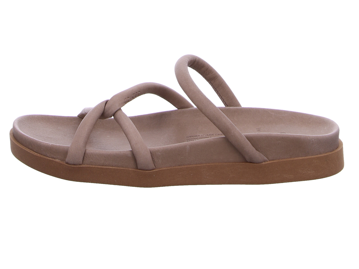 werner_efeu_502_04_natur_3132