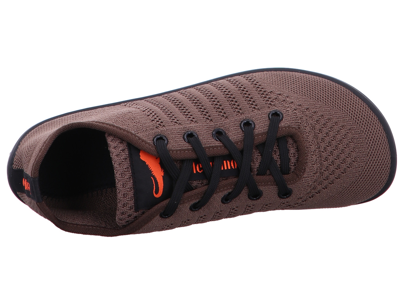 leguano_go_go_maron_5262