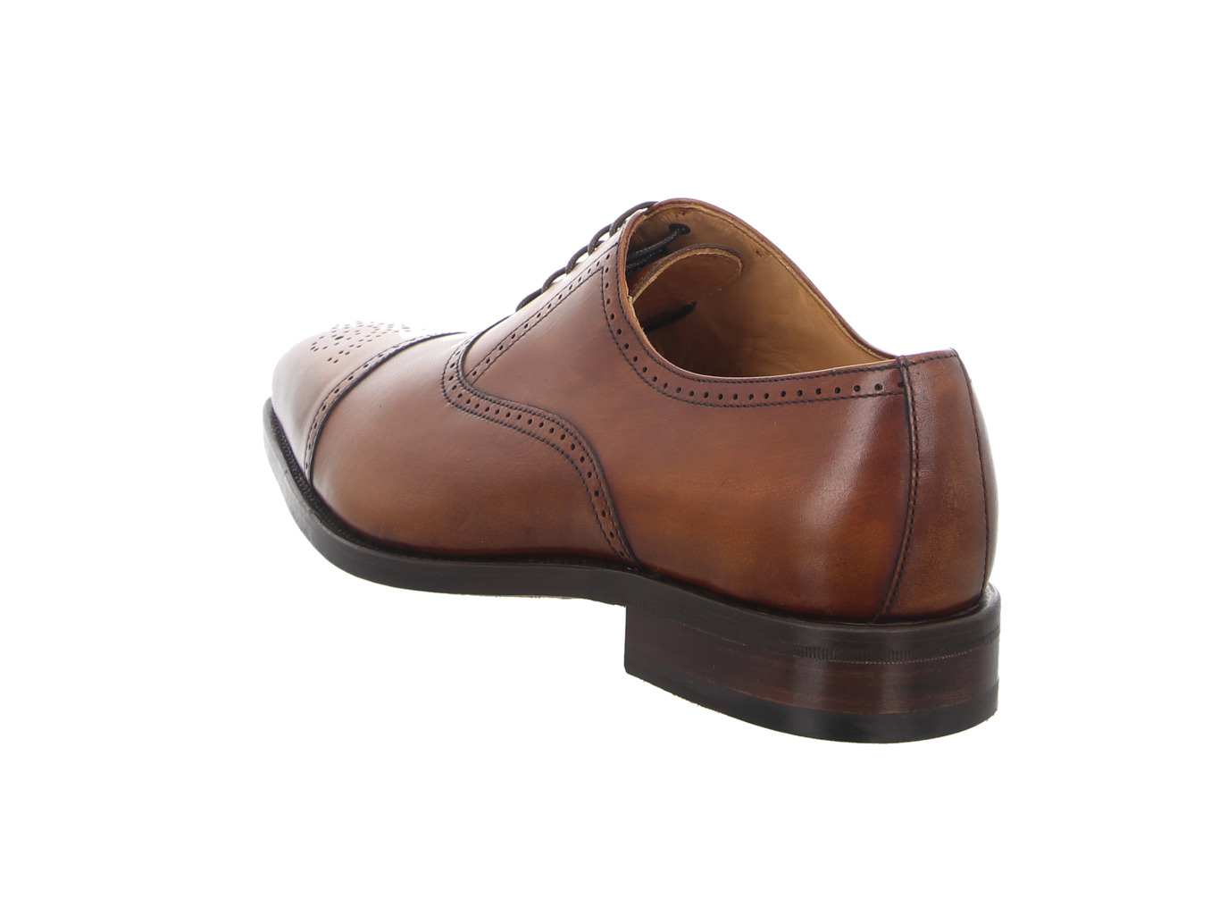 berwick_129_braun_2811_cuero_5116