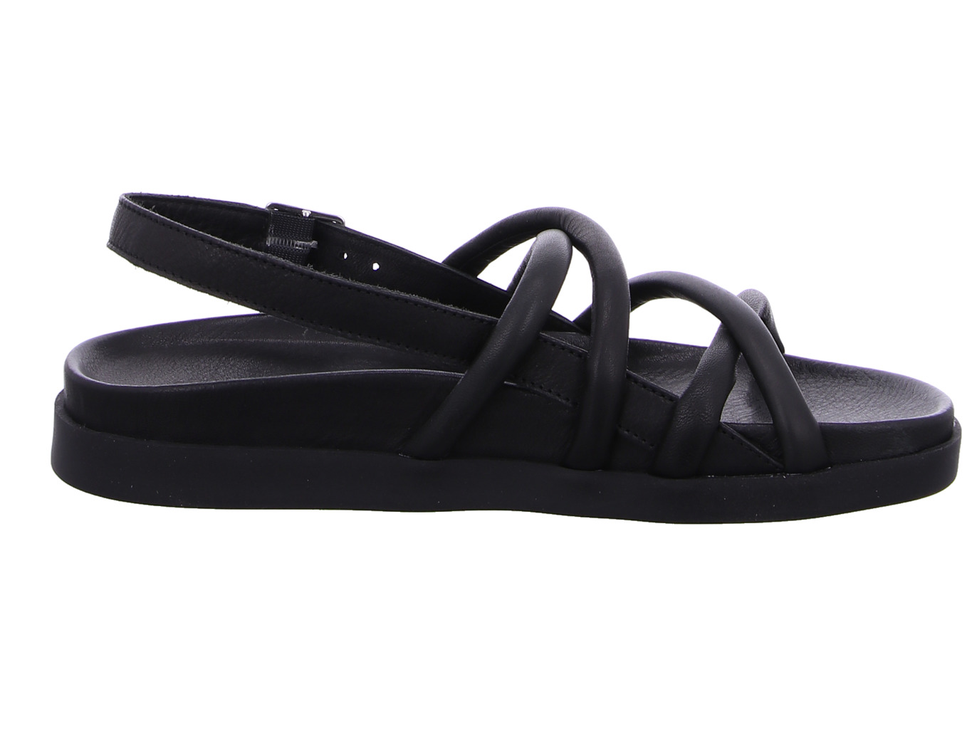 werner_liguster_638_04_schwarz_4112