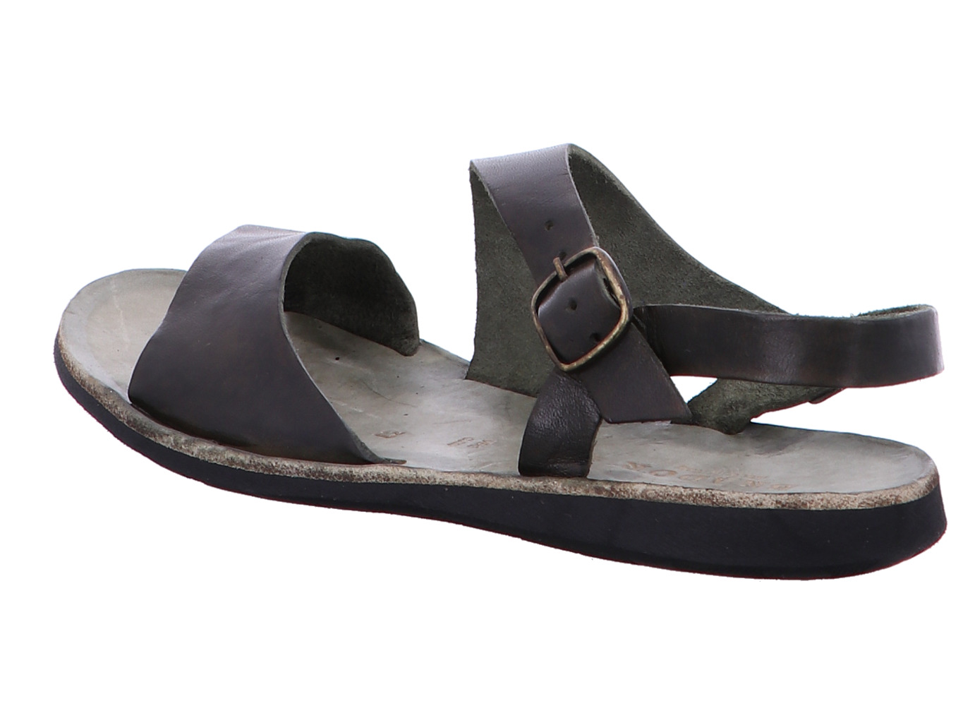 brador_sandy_34776_oliva_2148