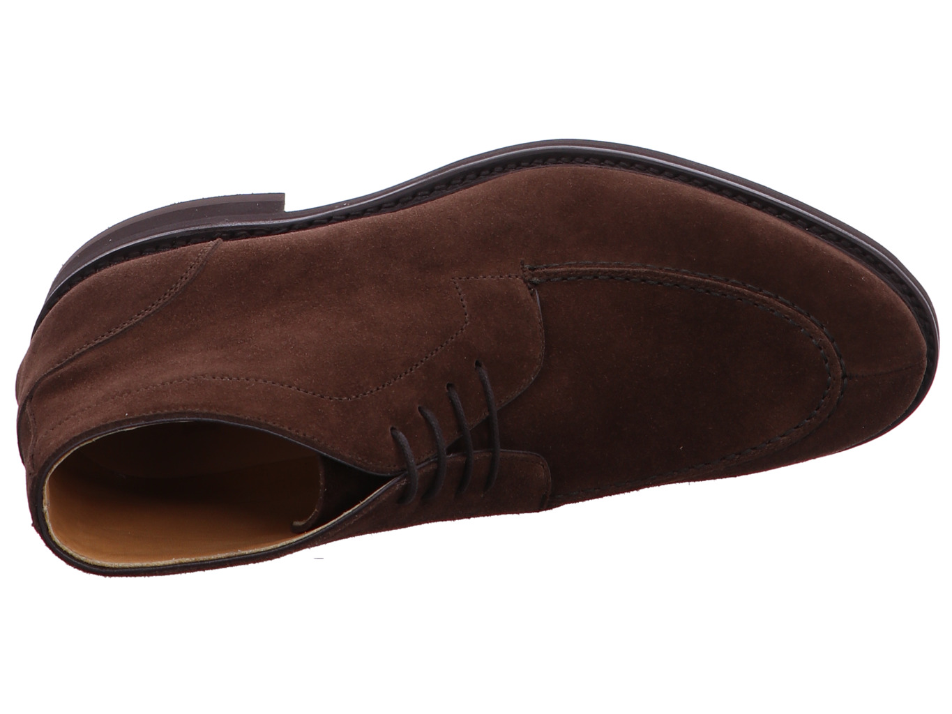 berwick_343_repello_calf_173_343_repello_calf_173_7175