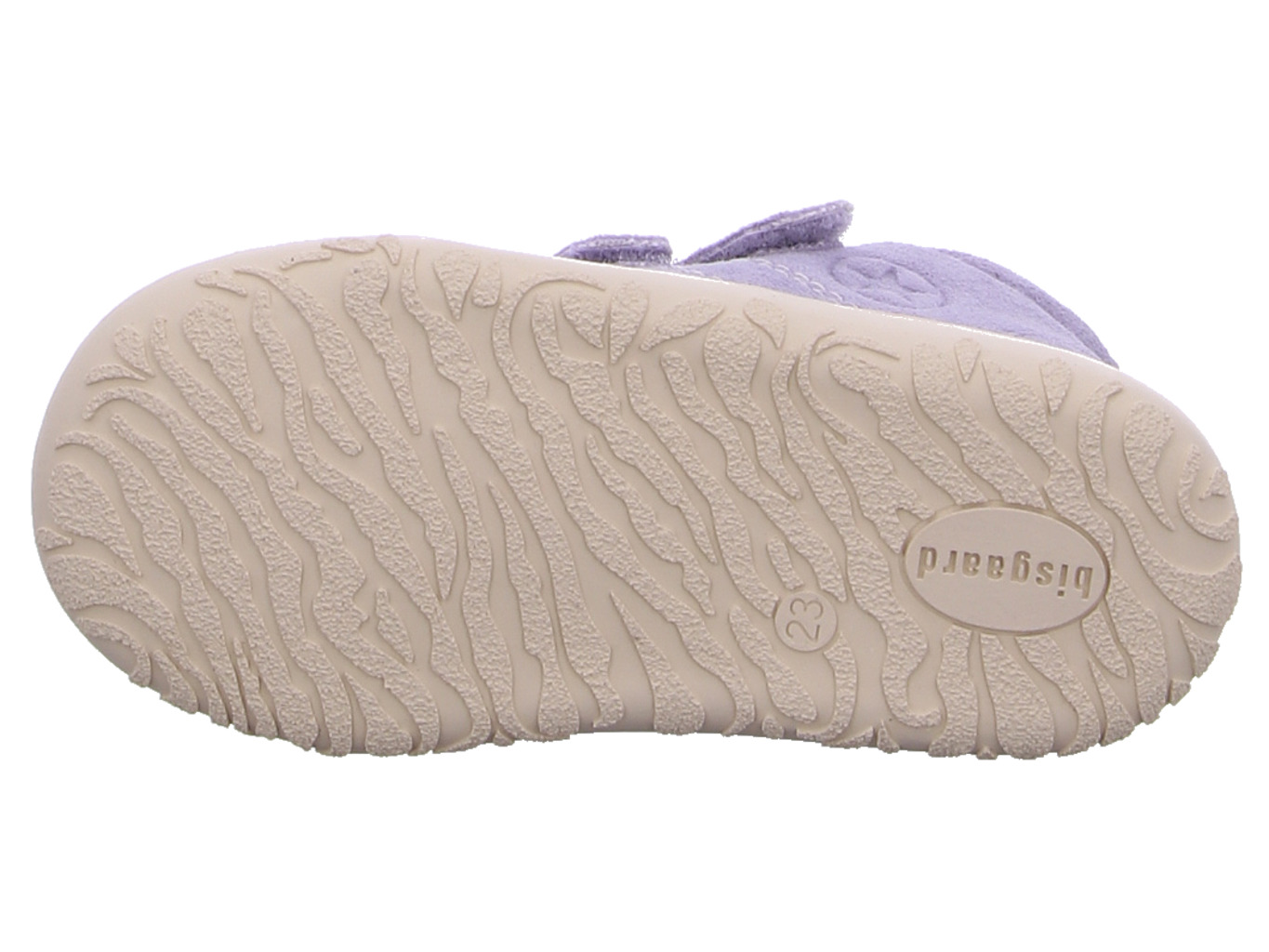 bisgaard_hale_v_21234_5016_8198