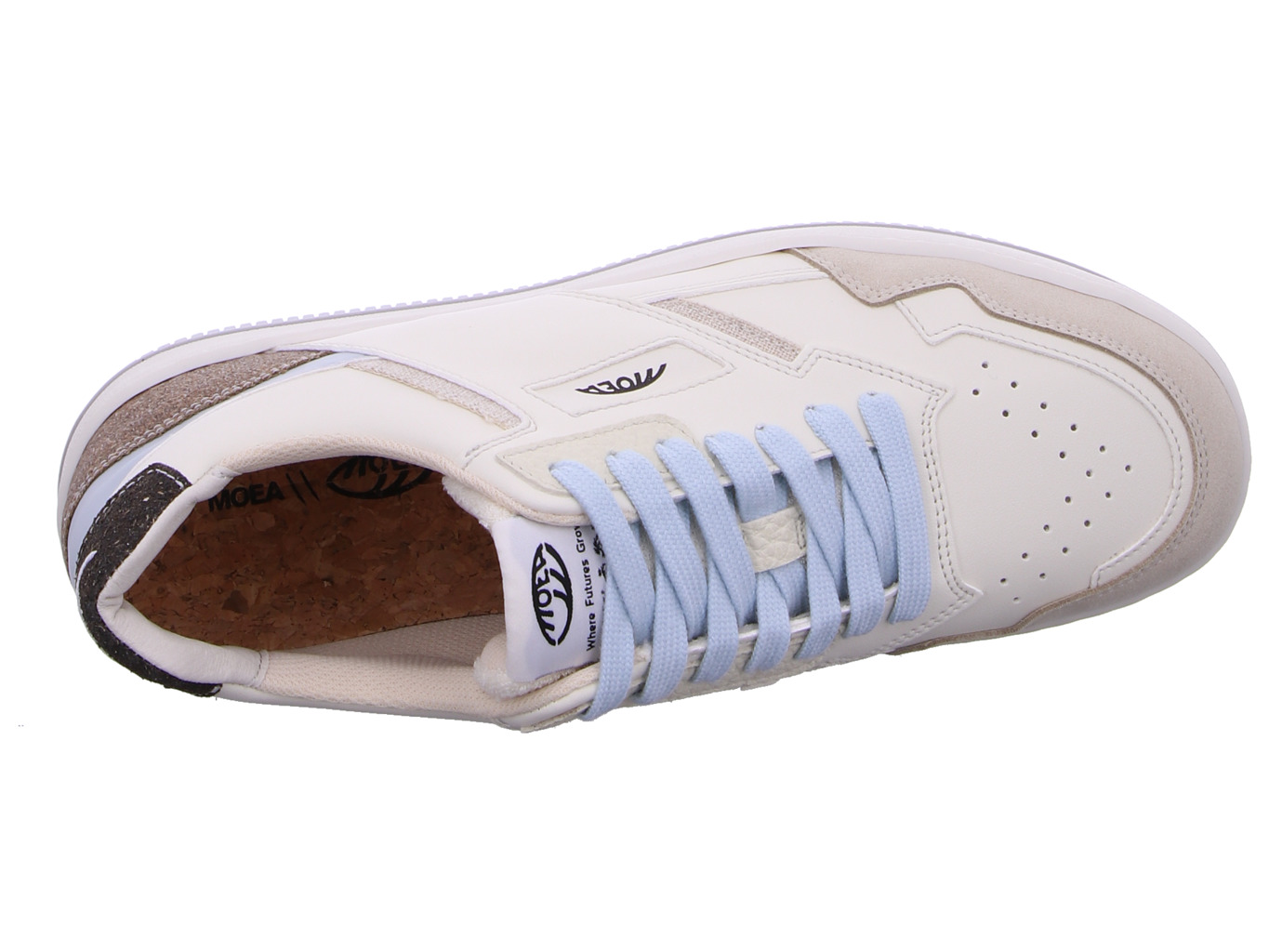 moea_origin_moea_bas001_02_7178