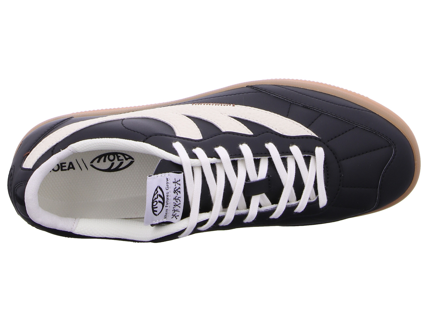 moea_flow_moea_bas011_01_7184