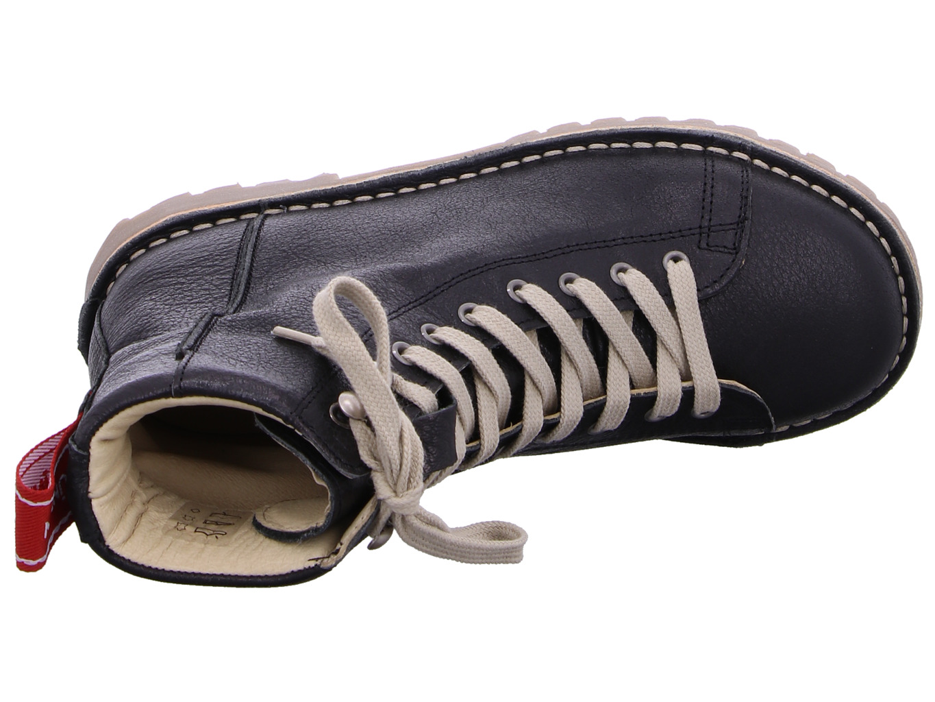 gr_nbein_louis_tr_2107_458_7260