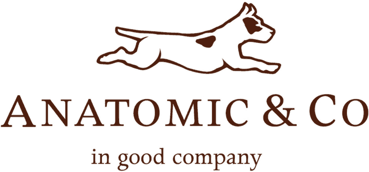 Anatomic Gel Anatomic Gel
