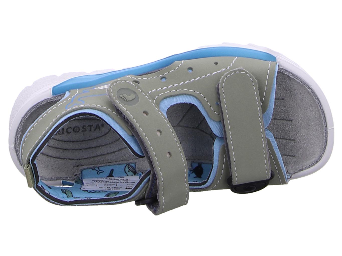 ricosta_surfer_50_4502402_530_530_7231