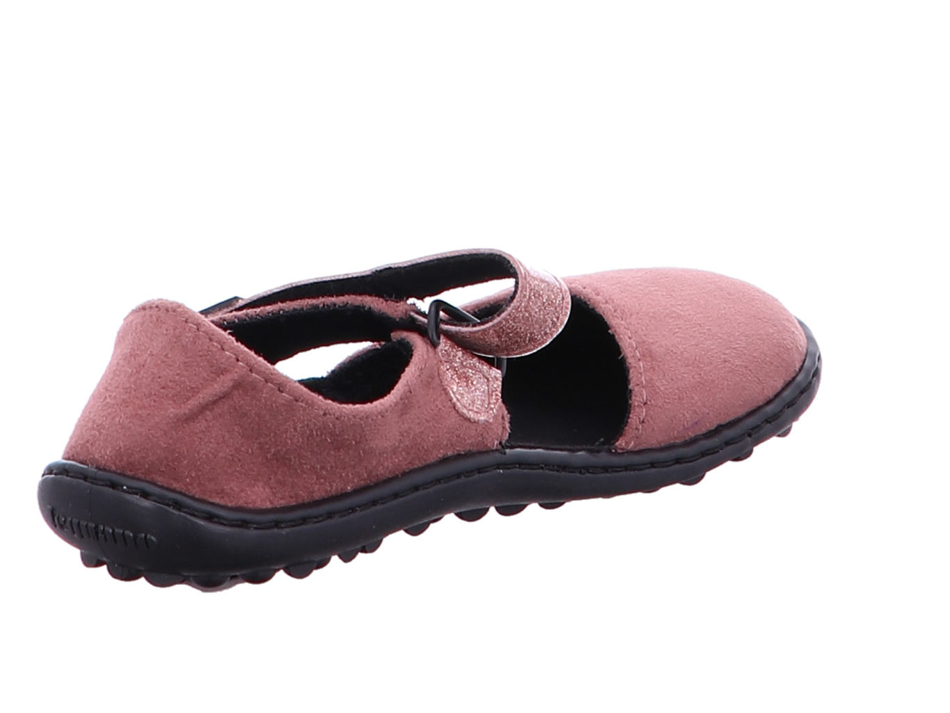 leguano_leguanito_jarina_leguanito_jarina_ros__3136