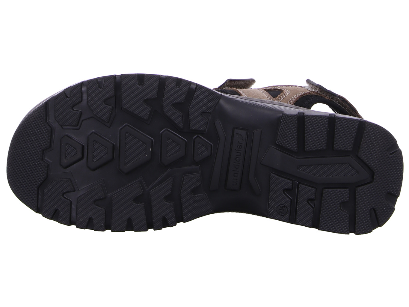 waldl_ufer_h_taro_746004_103_093_093_8166