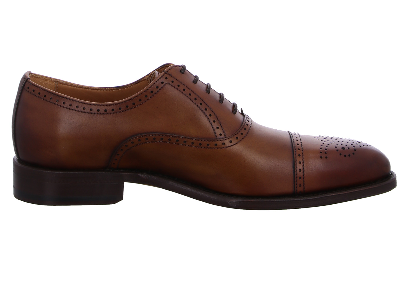 berwick_ho129_2811_sicalf_cuero_4128