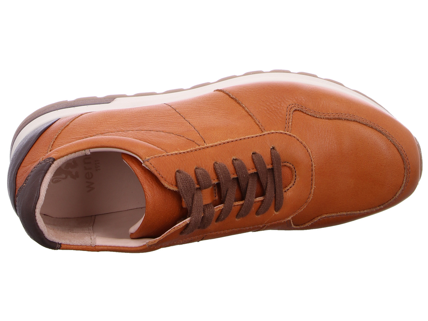 werner_karakara_345_49_cuio_7235