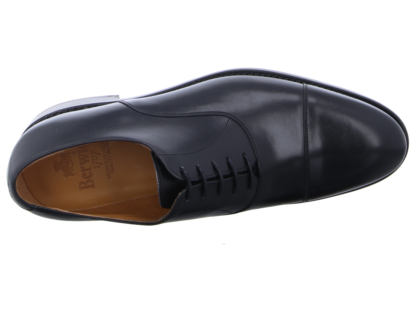 berwick_standardmodell_schwarz_2006_18_7123