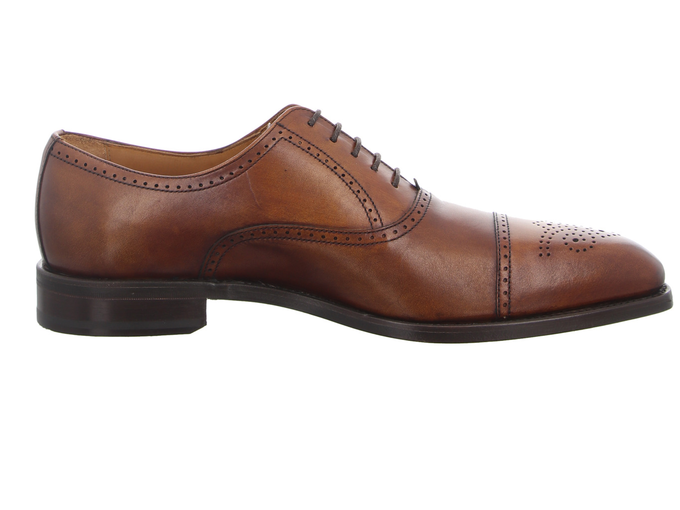 berwick_129_braun_2811_cuero_4158