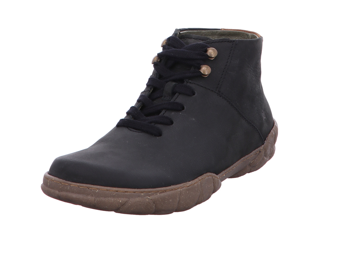 El Naturalista Turtle