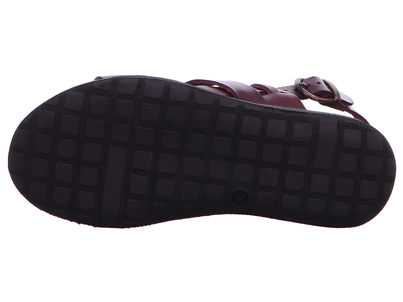 brador_strips_34556_vinaccia_6147