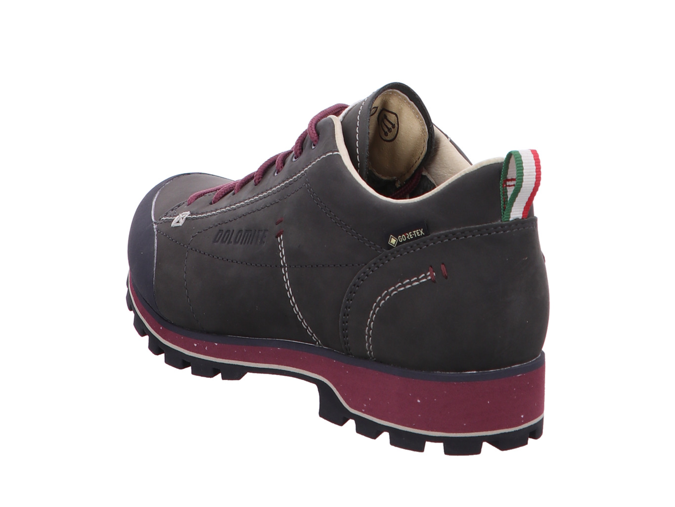 dolomite_dol_shoe_ws_54_low_fg_evo_gtx_292534_0937_0937_5137