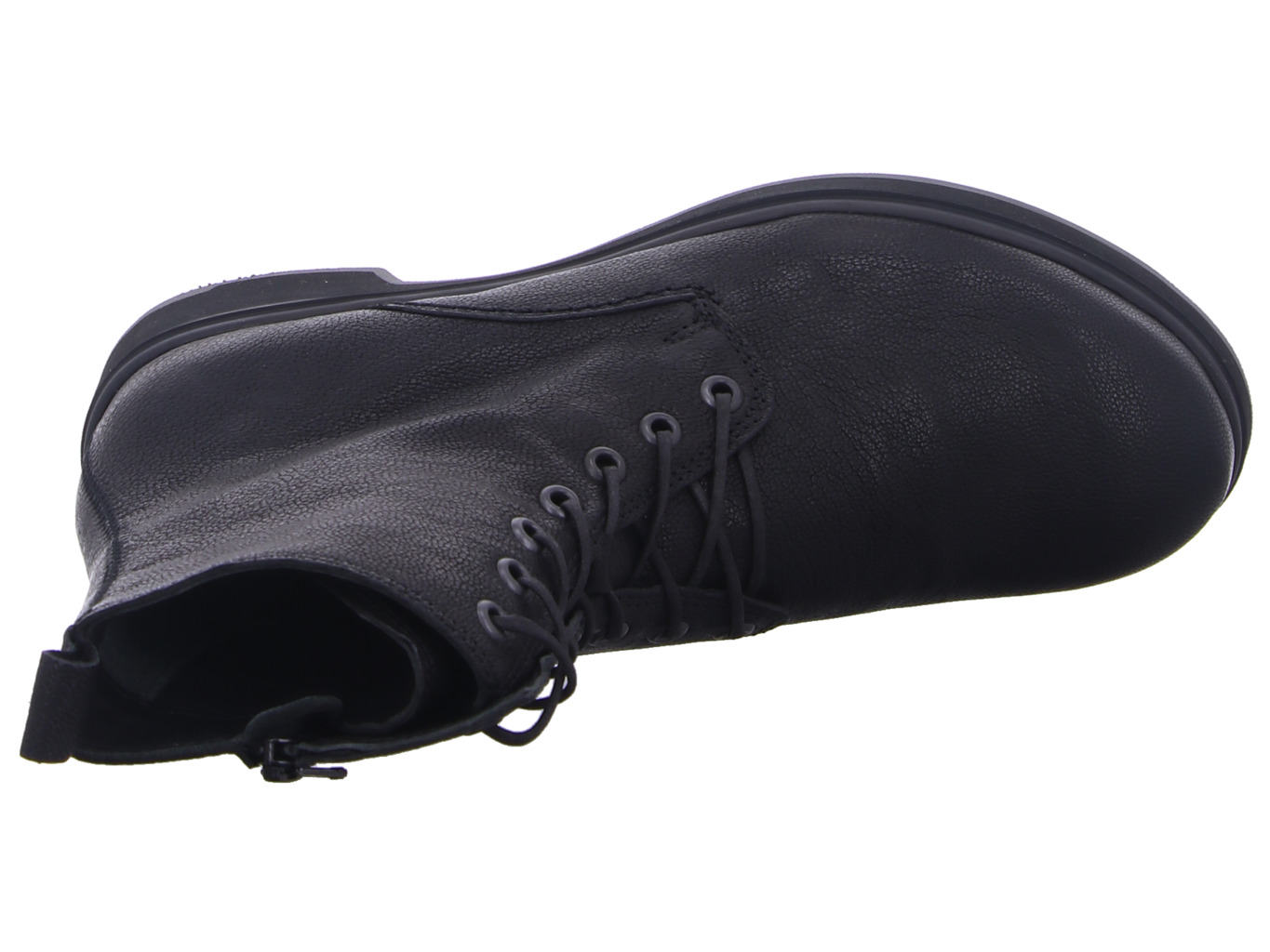 think_cogita_3_000406_0000_0000_7169