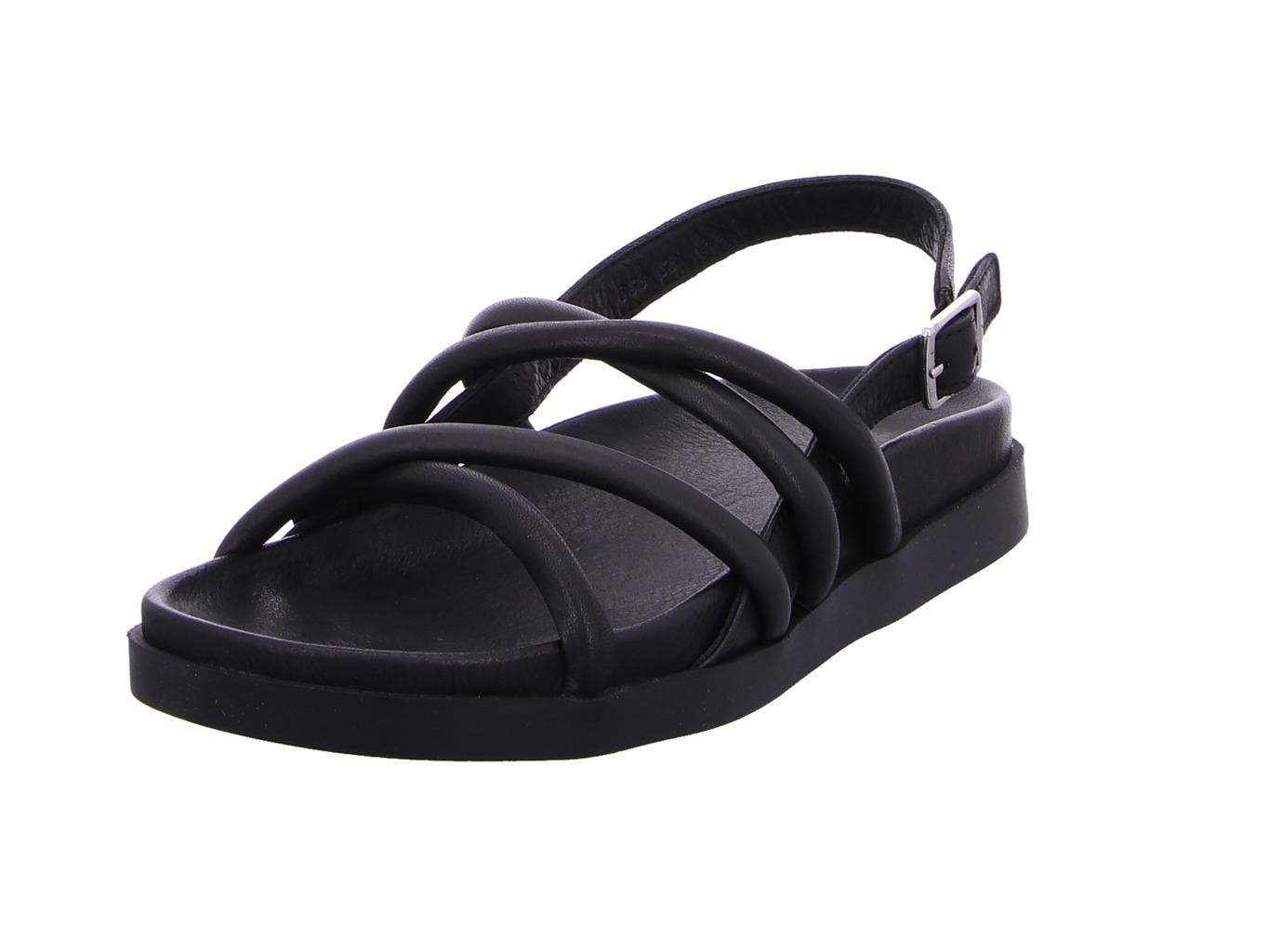 werner_liguster_638_04_schwarz_1110