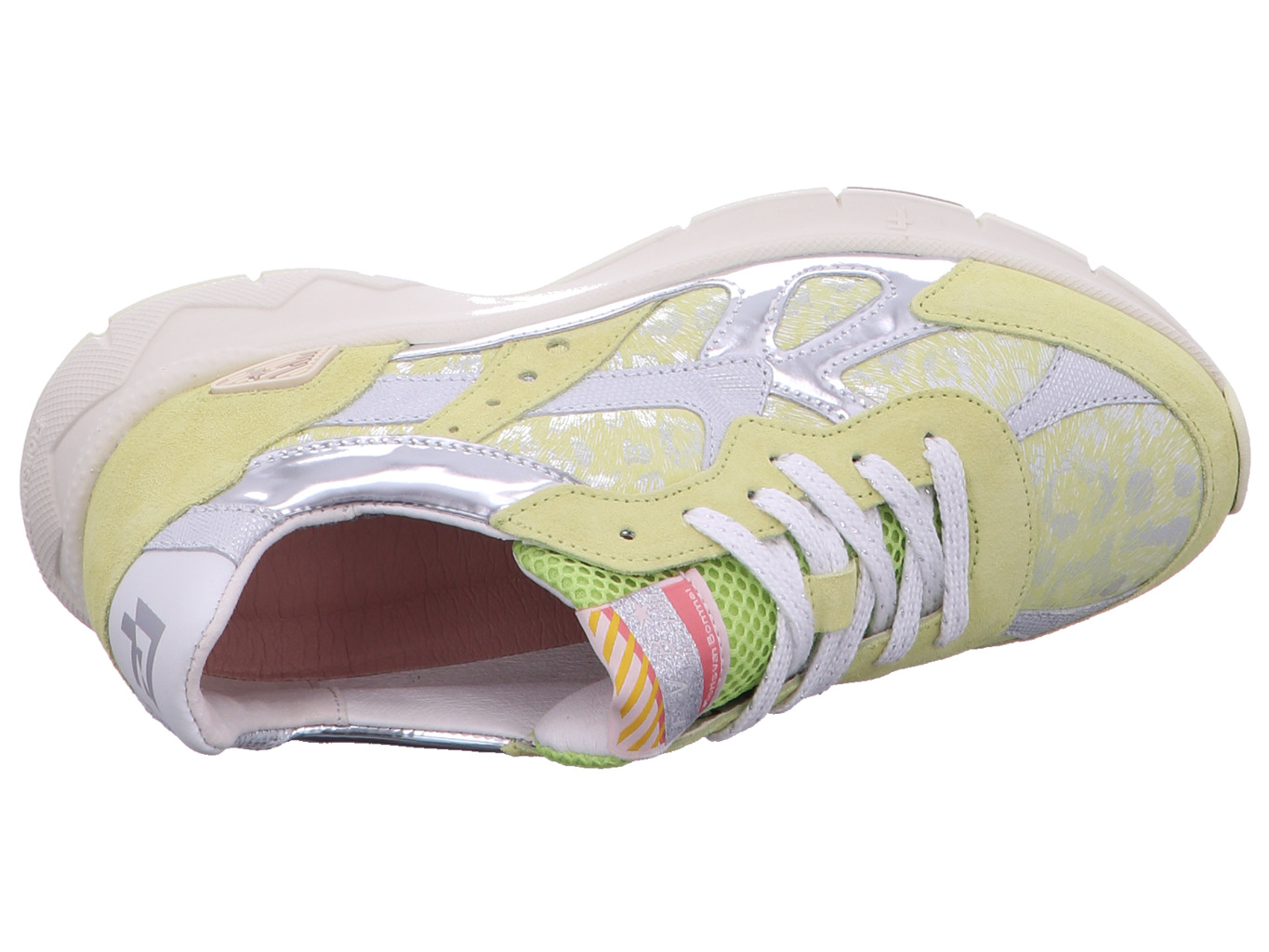 floris_van_bommel_daysi_05_00_sfw_10152_70_01_7_5220