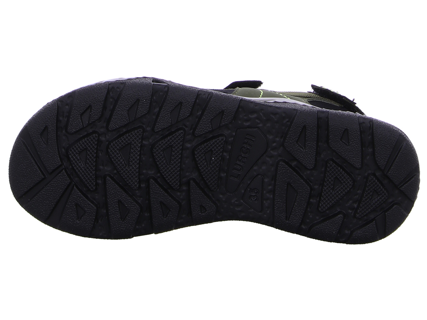 lurchi_odono_1_74l8193004_03742_03742_8165